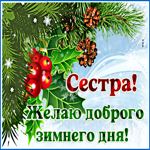 Открытка сестра, желаю доброго зимнего дня