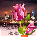 Желаю спокойной ночи