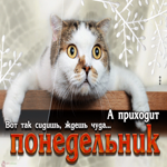 Открытка Вот так сидишь, ждешь чуда, а приходит понедельник