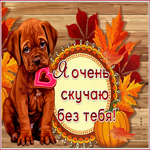 Открытка я очень скучаю без тебя