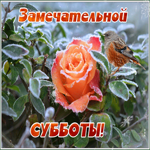 Открытка замечательной зимней субботы
