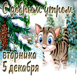 Открытки 5 декабря