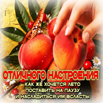 Отличного настроения! Как же хочется поставить лето на паузу