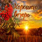 Отрадная и благодарная открытка с закатом Хорошего вечера