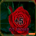 Пять с плюсом от меня