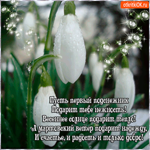 Подснежники – наше достояние