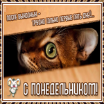 Потешная открытка с понедельником