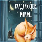 Потрясающая картинка сладких снов, милая