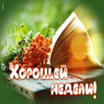 Потрясающая открытка с книгой Хорошей недели!