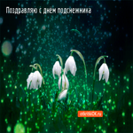 Поздравляю с днём подснежника