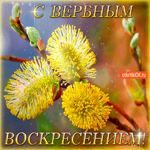 Поздравление с Вербным Воскресеньем