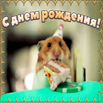 Смешная открытка с днем рождения мужчине