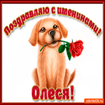 Поздравляю С Днём имени Олеся