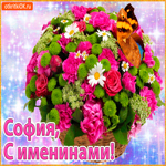 Поздравляю С именинами София