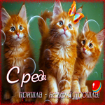 Позитивная картинка со средой