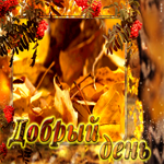 Позитивная открытка с белкой Добрый день