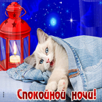 Позитивная открытка с белым котом Спокойной ночи
