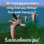 Прекрасная картинка с пожеланием Благословенного дня!