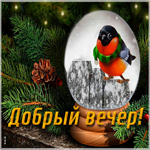 Прекрасная открытка добрый вечер с птичкой