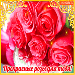 Прекрасные розы только для тебя
