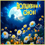 Прекрасно-стилизованная гиф-открытка Волшебных снов