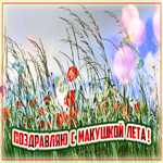 Прикольная открытка макушка лета