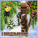 Прикольная открытка с котиком С понедельничком!