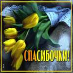 Прими моё искреннее спасибо