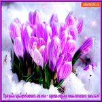 Природа пробуждается от сна