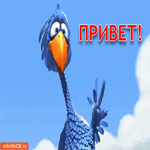 Смешная картинка привет