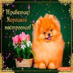 Приветик хорошего настроения