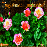 Приятных моментов