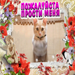 Прощеное Воскресенье