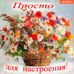 Просто, для настроения букет