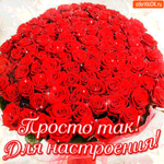Просто так. Для настроения большой букет