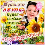Пусть это лето будет самым тёплым. Поздравляю вас