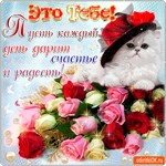Пусть каждый день дарит радость и счастье тебе