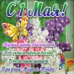 Пусть сирень благоухает - С 1 мая