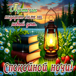 Пусть сон подарит силы на новый день! Спокойной ночи