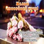 Пусть тебе приснятся только добрые сновидения! Желаю спокойной ночи