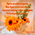 Пусть улыбается удача