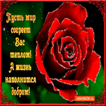 Пусть мир согреет вас теплом 