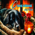 Романтичная гиф-открытка с песиком Спокойной ночи