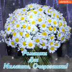 Ромашки для милашки-очаровашки