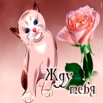 Роскошная открытка с кошечкой жду тебя