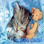 Роскошная открытка Сладких снов! С котенком и игрушкой