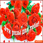 Розы лишь для тебя