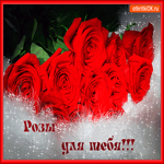 Розы эти только для тебя