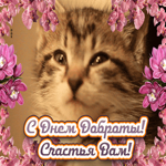 С Днём Доброты