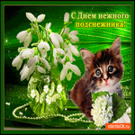 С днём нежного подснежника